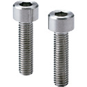 Hex Socket Head Cap Screws (Hastelloy C-22 equiv.) with Ventilation Hole
